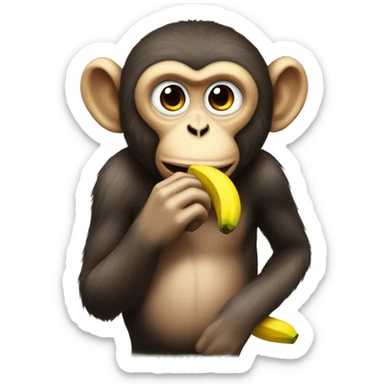Monkey sucking banana sticker