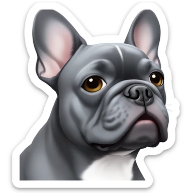 Dark grey French bulldog with white line on chest and blue eyes sticker