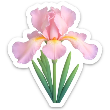 Create a 3D iOS emoji style image of a pale pink iris flower with a green stem. The flower should appear shiny and glossy, with a transparent background. sticker