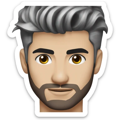 Zayn Malik sticker