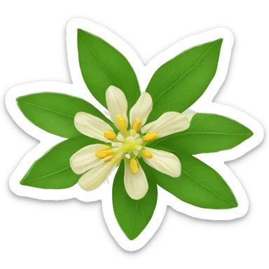 Ashwagandha flower with greenish-yellow petals and a central yellow stamens emojis sticker