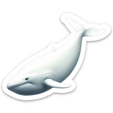 white whale , underside sticker