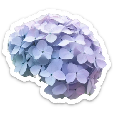 hydrangea in front of gray house  sticker