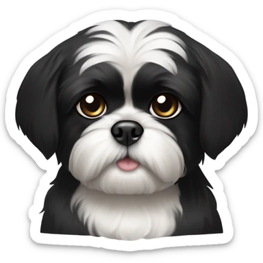 Black Shiz tzu with a white chin  sticker