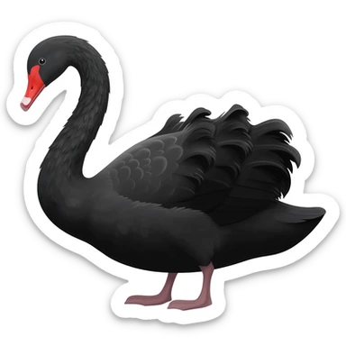 Black swan sticker