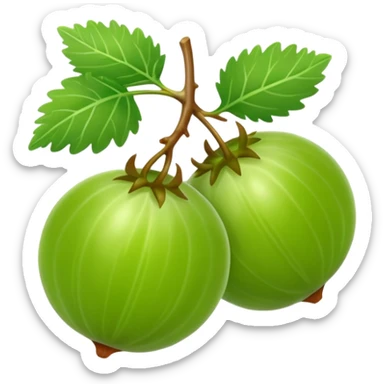 gooseberry fruit sticker