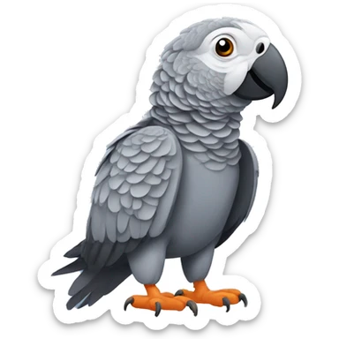 African grey parrot sticker