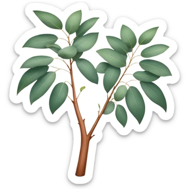 Cinematic Realistic Eucalyptus Emoji, Tall and graceful, with slender trunks covered in smooth, peeling bark and large, fragrant leaves. The eucalyptus trees sway gently in the breeze, releasing a calming aroma that fills the air. Soft glowing outline, capturing the essence of rugged beauty and natural serenity in a tall eucalyptus tree! sticker
