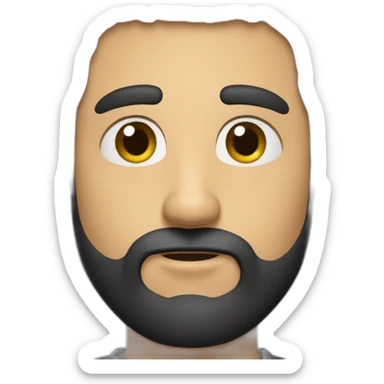 a-guy-with-a-beard-black-hair-fair-skin-black-eyes-and-a-slightly-chubby-face sticker