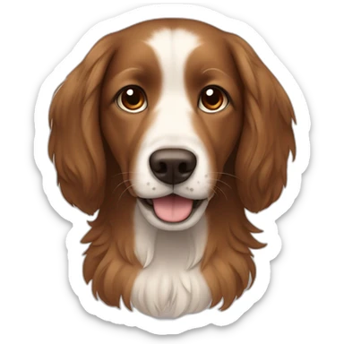 dog with mid-long hair brown mid size and different shades of brown hair no white hear sticker