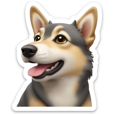 Swedish vallhund sticker