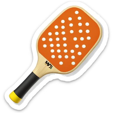 Pickleball paddle  sticker