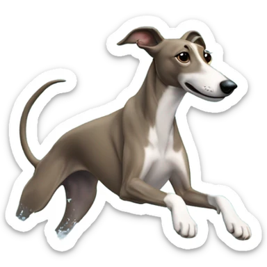 Greyhound swimming  sticker