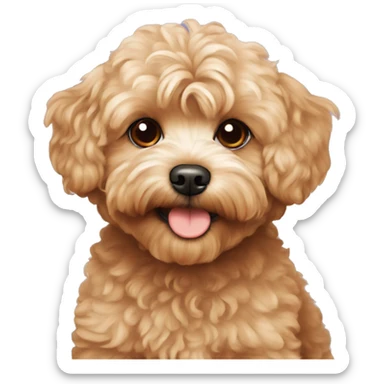 Red maltipoo sticker