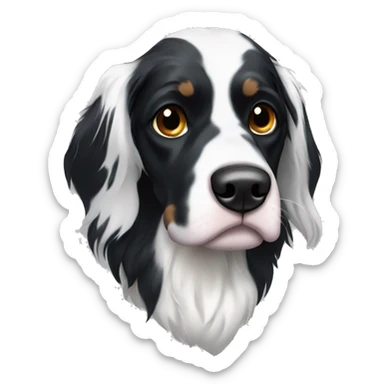 black and white English Setter face with asymmetrical black eye patches and zero brown fur sticker