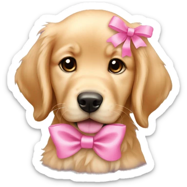 female golden retriever puppy with pink bows above her ears sticker