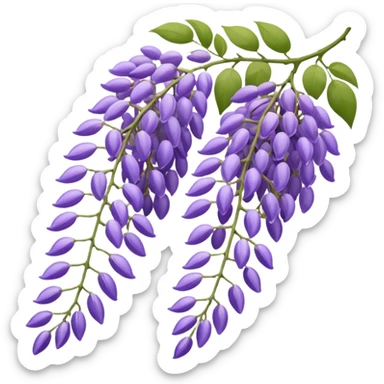 wisteria hanging blossoms sticker