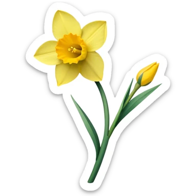 single Daffodil stem sticker