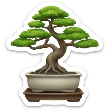 Bonsai tree sticker