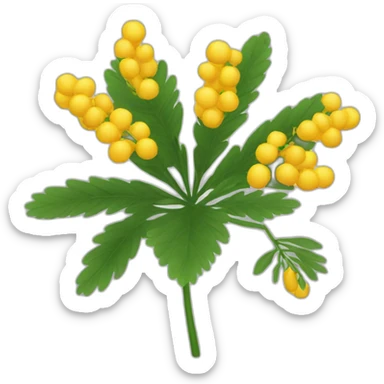 mimosa FLOWER sticker