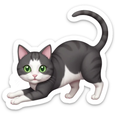 beautiful female solid dark grey cat with green eyes, white toes/paws and white patch on her chest playfully rolling upside down sticker