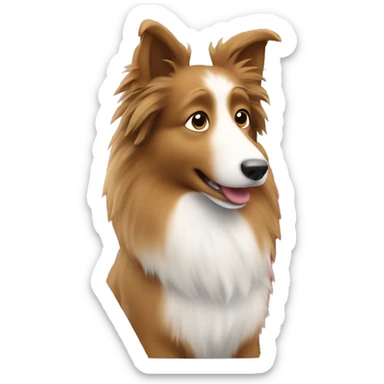 Shetland sheepdog driving sticker