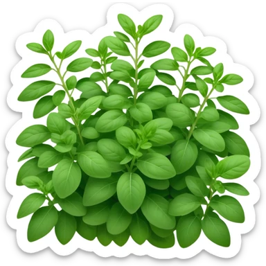 Cinematic Realistic Oregano Emoji, Bold and aromatic, with dark green leaves that radiate flavor and warmth. The plant’s rounded leaves create a lush, hearty growth, while the distinct scent invites comfort and coziness. Soft glowing outline, capturing the essence of bold flavor and herbal richness in a sprig of oregano! sticker