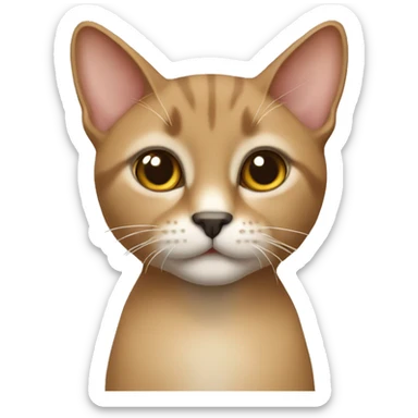 Brown beige thai cat sticker