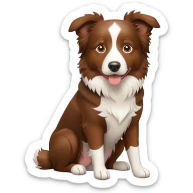 Brown Border Collie sitting sticker