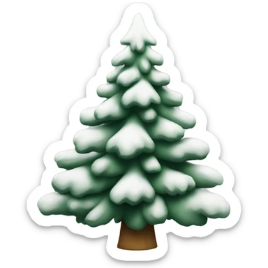  actual white fir christmas tree isolated.  sticker