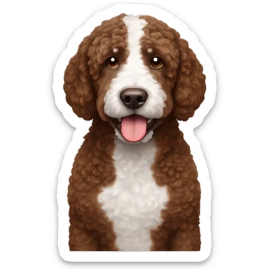 Brown Spanish water dog with white spot on chest  sticker
