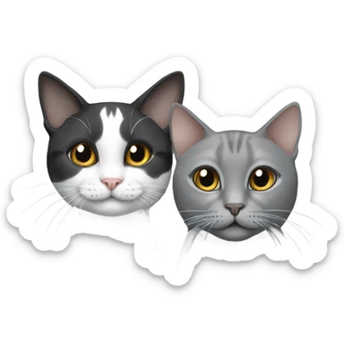 two cats, one white Siam and one grey sticker