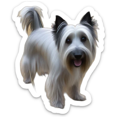 Skye terrier in a coprinus comatus field sticker