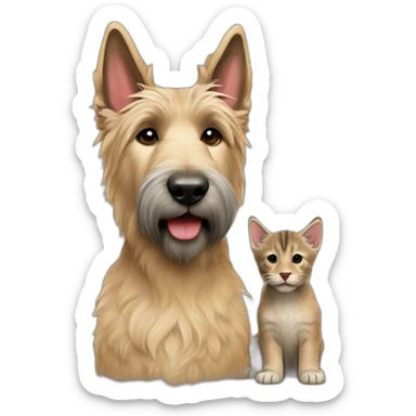 Berger picard avec chaton roux sticker