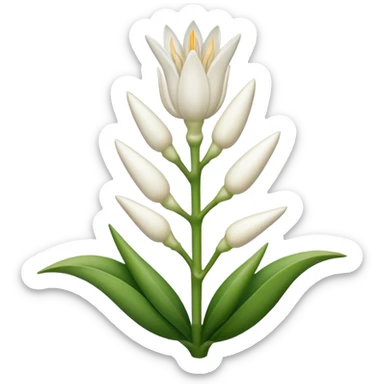 Tuberose beautiful  sticker