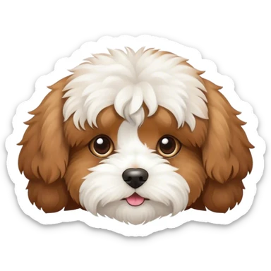 cavapoo sticker