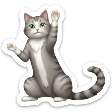 grey and white cat with green eyes doing a big extremely long stretch reaching up into the air with arms and legs side by side together straight and overextended whilst lying on its side sticker