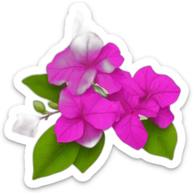 bougainvillea plant with flowers sticker