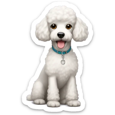 White poodle with short hair  sticker