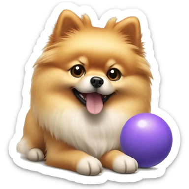 Pomeranian spitz playing with toys sticker