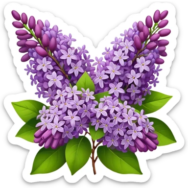 A bouquet of lilacs sticker