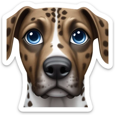 Brown brindle and white patch Catahoula leopard dog with one blue eye and one brown eye  sticker