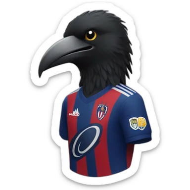 a crow with a san lorenzo soccer shirt sticker