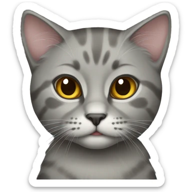 Scottish cat gray sticker