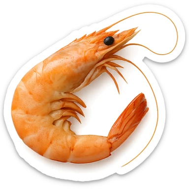 Shrimp sticker