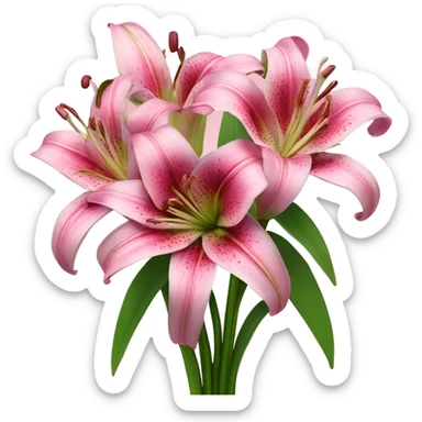 lily flowers pink bouquet  sticker