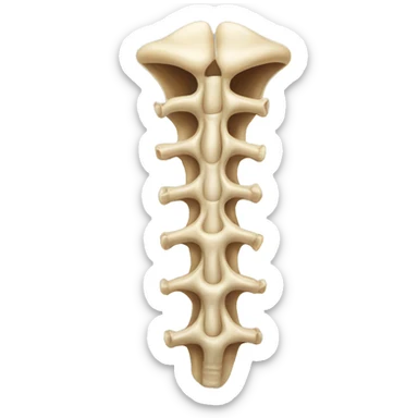 Coluna vertebral sticker