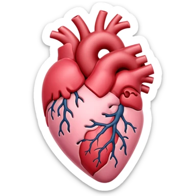 Anatomical heart, soft pink, light, iOS emoji style, variation 4 sticker