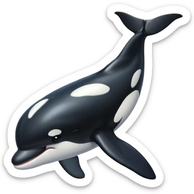 Killer whale  sticker