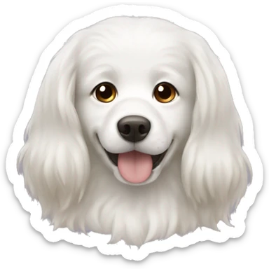 white dog have long hair and brown ear with mungbean sticker